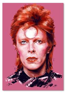 Obraz na plátně Portrét Davida Bowieho - Dmitry Belov Rozměry: 40 x 60 cm