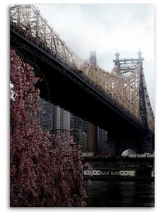 Obraz na plátně Most Queensboro Eda Kocha - Dmitry Belov Rozměry: 40 x 60 cm