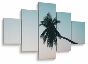Obraz - Palma na Bali (125x70 cm)