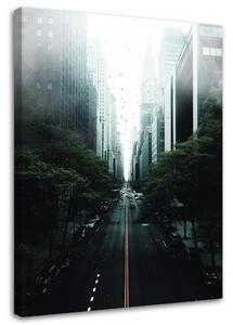 Obraz na plátně Zelená ulice ve městě - Dmitry Belov Rozměry: 40 x 60 cm