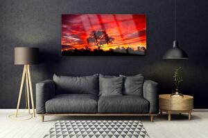 Plexisklo-obraz Les Krajina Příroda 120x60 cm