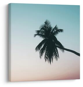 Obraz - Palma na Bali (30x30 cm)