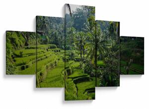Obraz rýžových teras Tegalalang, Bali (125x70 cm)