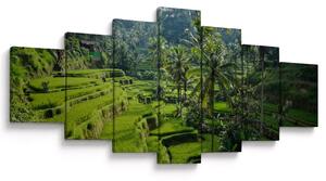Obraz rýžových teras Tegalalang, Bali (210x100 cm)