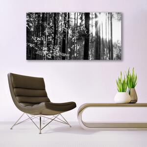 Akrylový obraz Les Příroda 120x60 cm