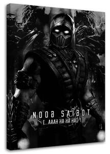 Obraz na plátně Hra Mortal Kombat Postava Noob Saibot - SyanArt Rozměry: 40 x 60 cm