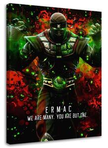 Obraz na plátně Hra Mortal Kombat Ermac - SyanArt Rozměry: 40 x 60 cm