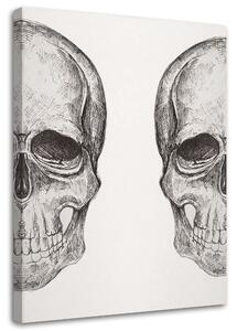 Obraz na plátně Náčrt dvou lebek - Jan Perit Kablan Rozměry: 40 x 60 cm