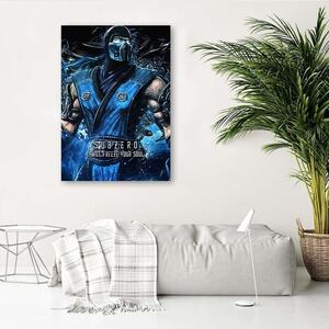 Obraz na plátně Hra Mortal Kombat Postava Sub-Zero - SyanArt Rozměry: 40 x 60 cm