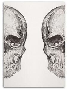 Obraz na plátně Náčrt dvou lebek - Jan Perit Kablan Rozměry: 40 x 60 cm