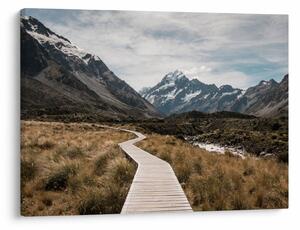 Obraz - Chodník v údolí hory Mt. Cook (70x50 cm)