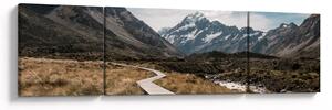 Obraz - Chodník v údolí hory Mt. Cook (170x50 cm)