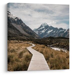 Obraz - Chodník v údolí hory Mt. Cook (30x30 cm)