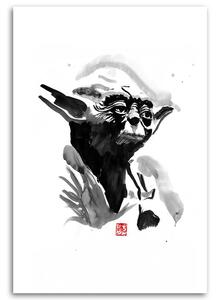 Obraz na plátně Star Wars, Yoda - Péchane Rozměry: 40 x 60 cm