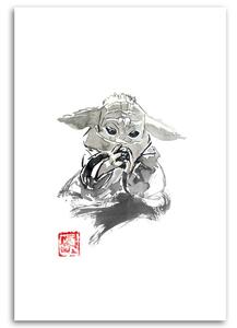 Obraz na plátně Star Wars, Baby Yoda - Péchane Rozměry: 40 x 60 cm