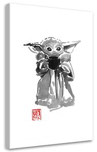 Obraz na plátně Star Wars, mladý Yoda - Péchane Rozměry: 40 x 60 cm