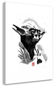 Obraz na plátně Star Wars, Yoda - Péchane Rozměry: 40 x 60 cm