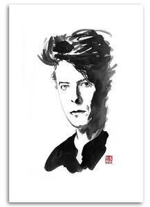 Obraz na plátně Zpěvák David Bowie - Péchane Rozměry: 40 x 60 cm