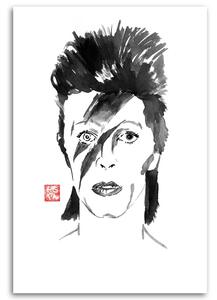Obraz na plátně Portrét Davida Bowieho - Péchane Rozměry: 40 x 60 cm