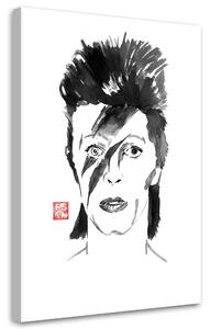 Obraz na plátně Portrét Davida Bowieho - Péchane Rozměry: 40 x 60 cm