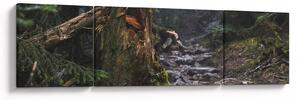 Obraz - V lese (170x50 cm)