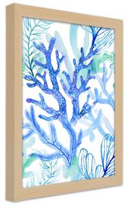 Plakát Mořské rostliny a korály Barva rámu: Přírodná, Rozměry: 30 x 45 cm