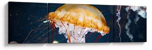 Obraz medůzy (170x50 cm)