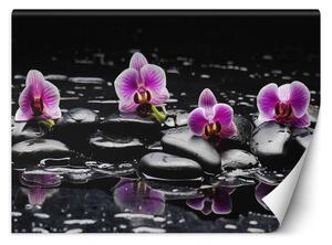 Fototapeta Zenové kameny a orchideje Materiál: Vliesová, Rozměry: 200 x 140 cm