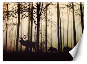 Fototapeta Zvířata v lese Materiál: Vliesová, Rozměry: 200 x 140 cm