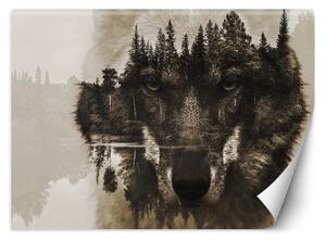 Fototapeta Vlk na pozadí jezera Materiál: Vliesová, Rozměry: 200 x 140 cm