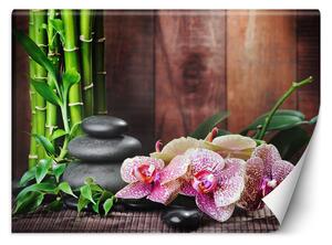 Fototapeta Orchidej s bambusem Materiál: Vliesová, Rozměry: 200 x 140 cm