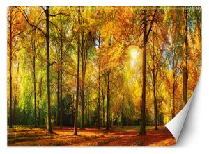 Fototapeta Podzimní les Materiál: Vliesová, Rozměry: 200 x 140 cm