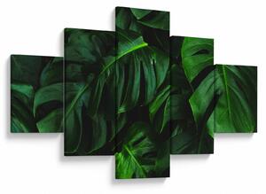 Obraz listů Monstery (125x70 cm)