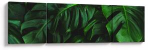 Obraz listů Monstery (170x50 cm)