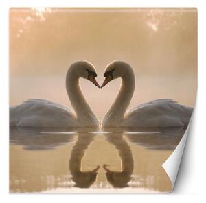 Fototapeta Labutě plavání v jezeře Materiál: Vliesová, Rozměry: 100 x 100 cm