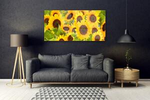 Akrylový obraz Slunečnice 120x60 cm
