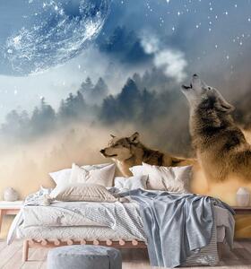 Fototapeta Vytí vlka a měsíc Materiál: Vliesová, Rozměry: 100 x 100 cm