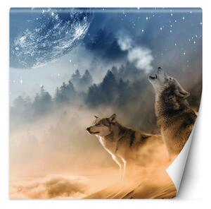 Fototapeta Vytí vlka a měsíc Materiál: Vliesová, Rozměry: 100 x 100 cm