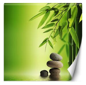 Fototapeta Bambusové listy na zeleném pozadí Materiál: Vliesová, Rozměry: 100 x 100 cm