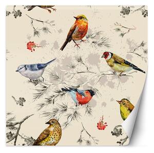 Fototapeta Barevní ptáci malovaní akvarelem Materiál: Vliesová, Rozměry: 100 x 100 cm