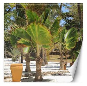 Fototapeta Palmy na tropické pláži Materiál: Vliesová, Rozměry: 100 x 100 cm