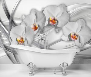 Fototapeta Abstraktní orchideje Materiál: Vliesová, Rozměry: 200 x 140 cm