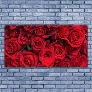 Obraz na plátně Červené Růže Květiny Příroda 140x70 cm