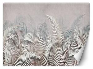 Fototapeta Palmové listy šedé Materiál: Vliesová, Rozměry: 200 x 140 cm
