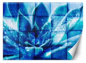 Fototapeta Modrá květina Materiál: Vliesová, Rozměry: 200 x 140 cm