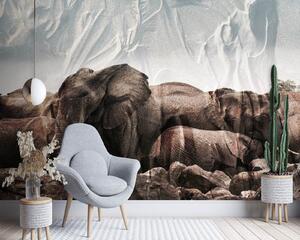 Fototapeta Sloni ve stádu Materiál: Vliesová, Rozměry: 200 x 140 cm