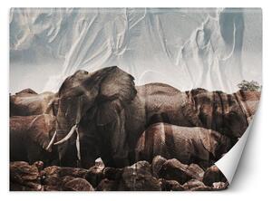 Fototapeta Sloni ve stádu Materiál: Vliesová, Rozměry: 200 x 140 cm