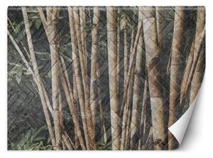 Fototapeta Bambusový les Materiál: Vliesová, Rozměry: 200 x 140 cm