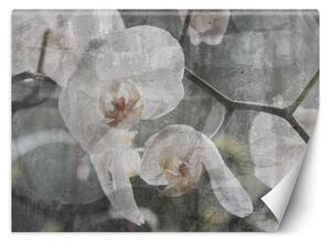 Fototapeta Vintage orchidea Materiál: Vliesová, Rozměry: 200 x 140 cm