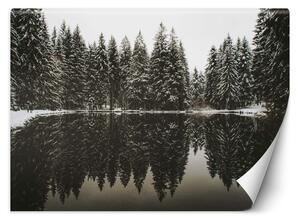 Fototapeta Jezero v lese v zimě Materiál: Vliesová, Rozměry: 200 x 140 cm